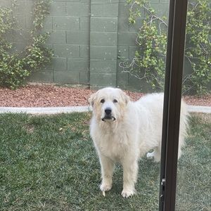 Meet your Posher, Tim